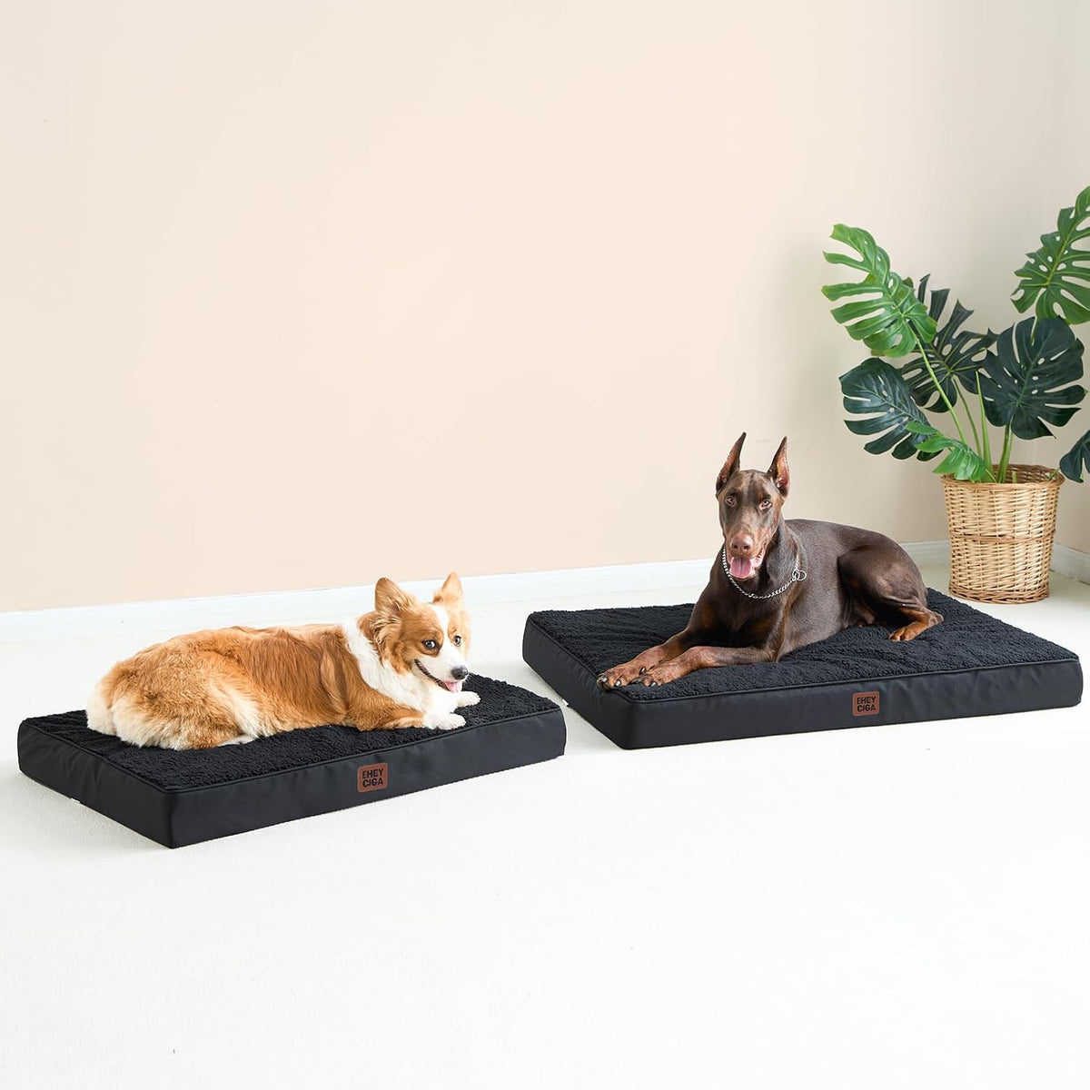 Orthopedic Large Dog Bed with Washable Cover, 91X69X9Cm, Black | Soft Fabric, Durable Oxford Fabric Lining, Supportive Foam Egg Trays, Non-Slip Bottom, with Removable Cover, for Crate Mat