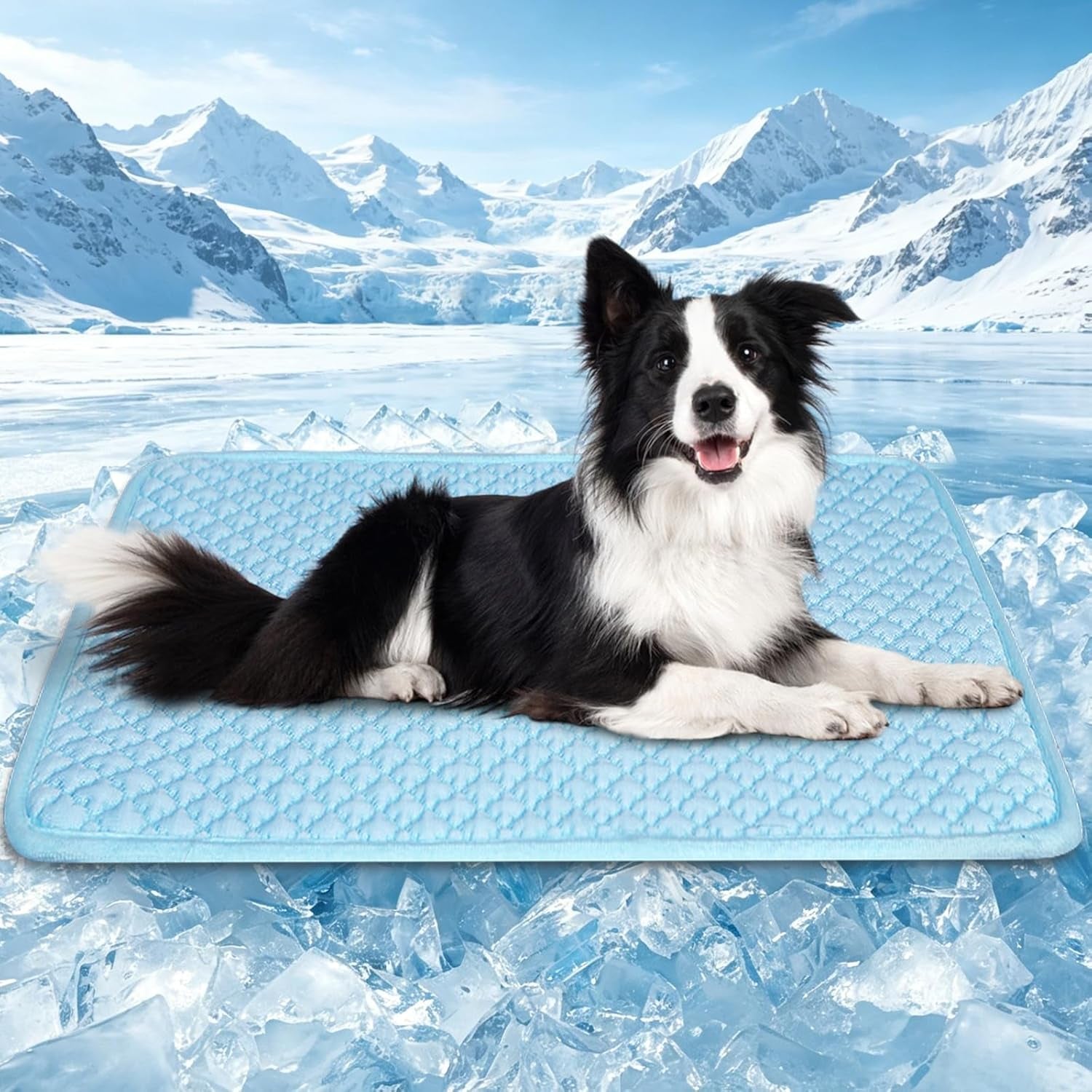 Dog Cooling Mat, Foldable Non-Slip Washable Arc-Chill Pad | Cooling Mat for Dogs Q-Max 0.45 Absorbs Pet Heat Fast,Suit for Indoor Outdoor Summer Use for Cats Dogs ﻿
