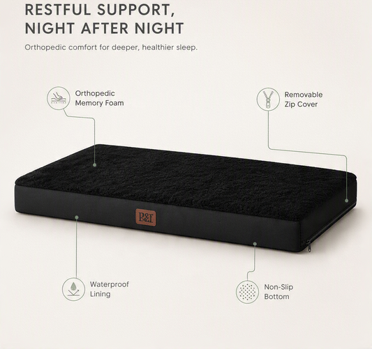 Restora - Orthopedic Memory Foam Dog Bed