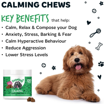 Calming Treats for Dogs - Helps Stress, Fear, Barking, Reactivity, Aggression, Travel – 120 Chews