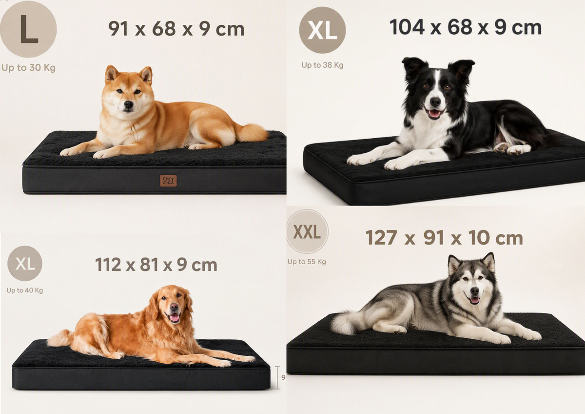 Restora - Orthopedic Memory Foam Dog Bed